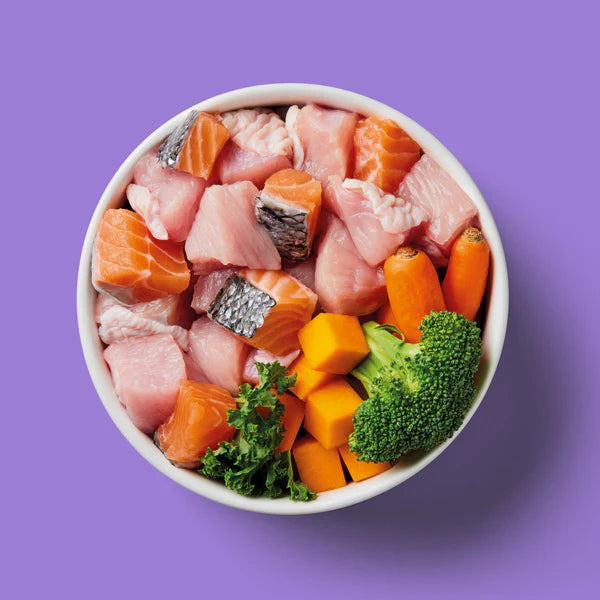 Salmon & Turkey Formula