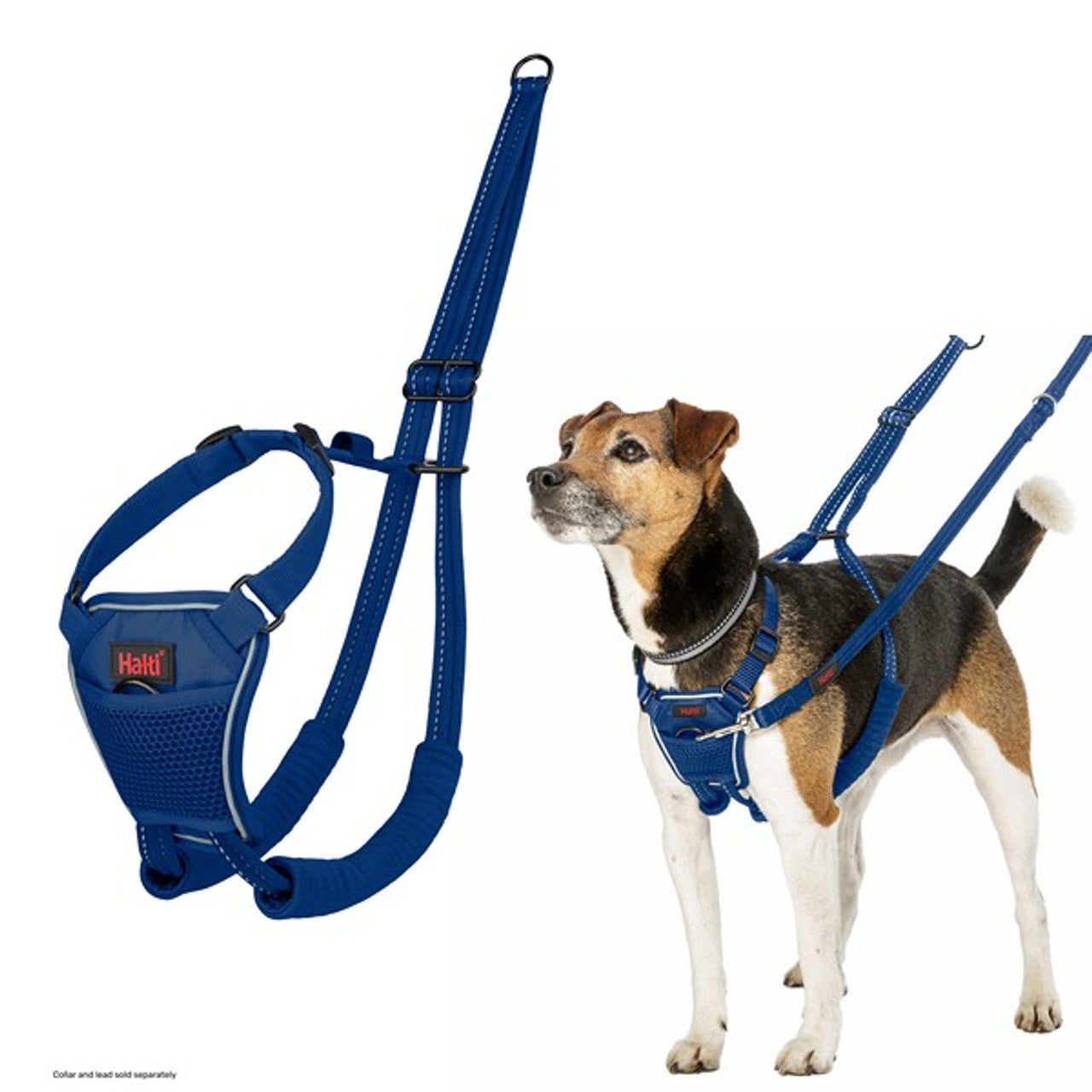 CoA Halti No Pull Harness