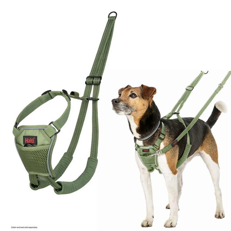 CoA Halti No Pull Harness