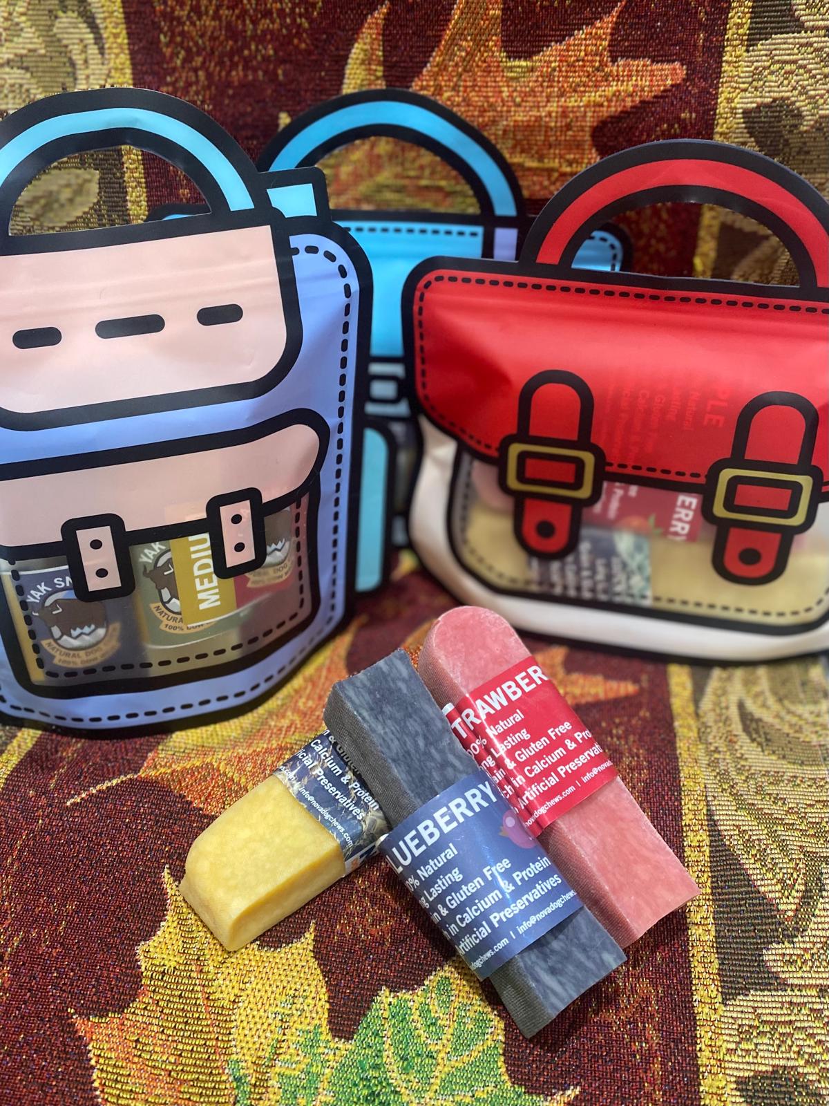 Sallywags Seasonal Gift Bag