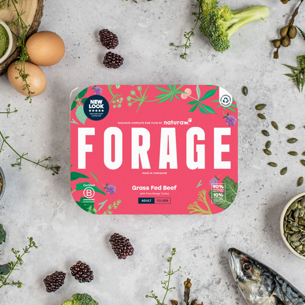 Forage: Beef