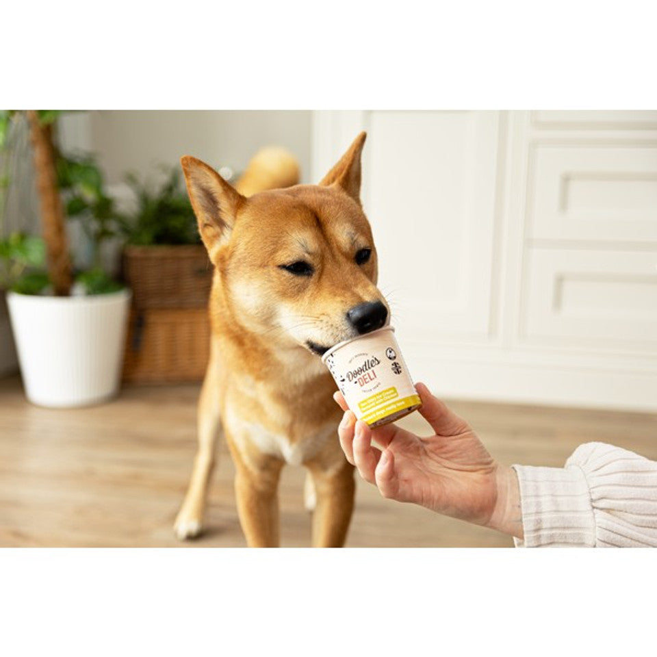 Doodles Deli Chicken Frozen Doggy Treat