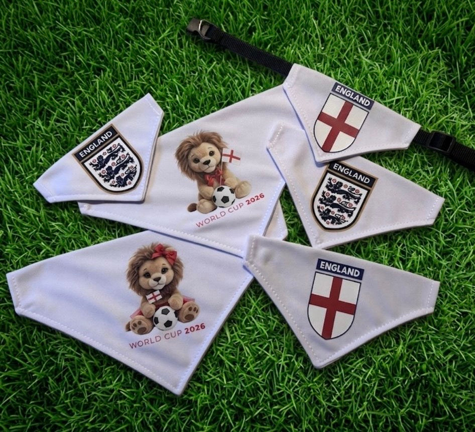 World Cup Bandana