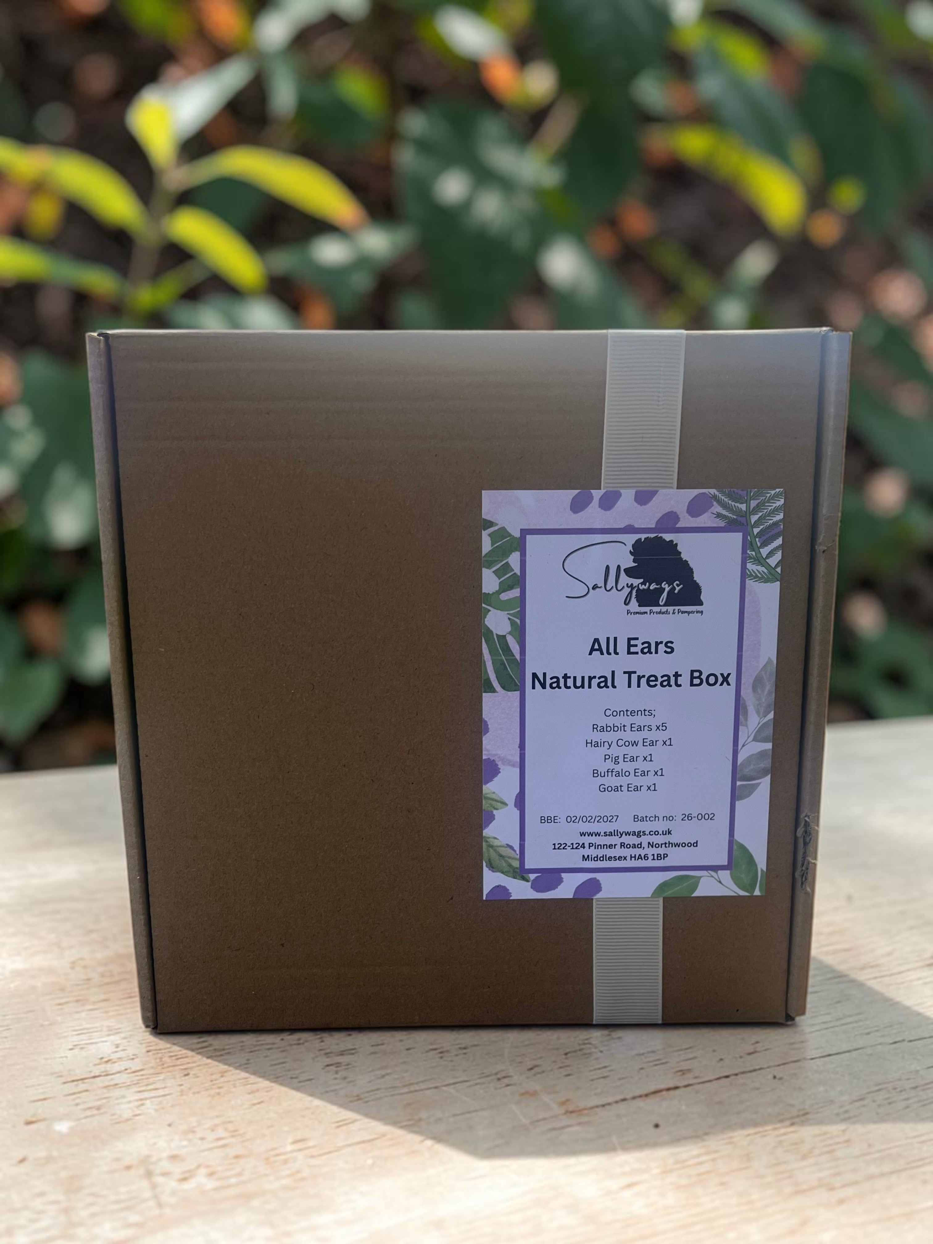 All Ears Natural Treat Box