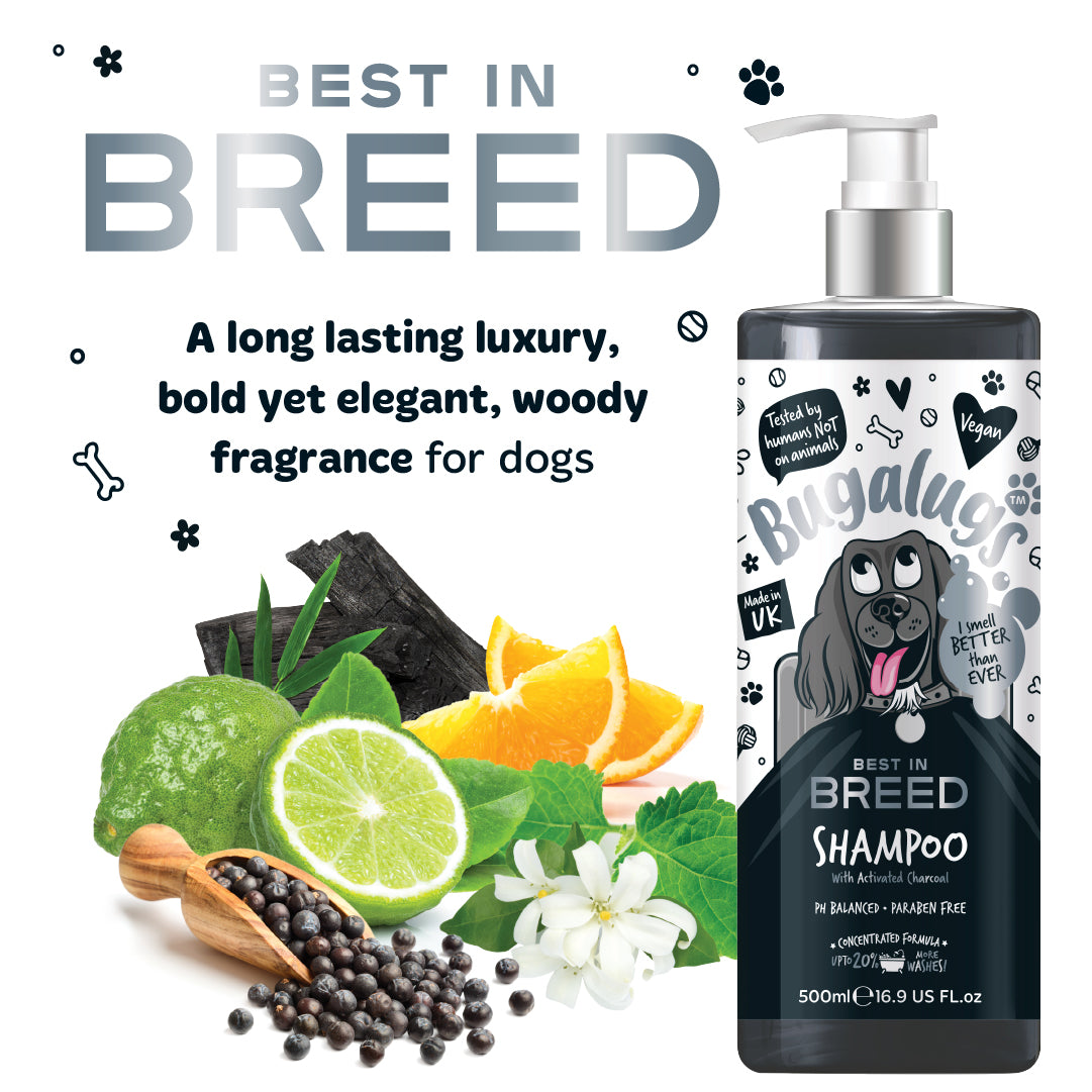 Bugalugs Best in Breed Dog Shampoo 250ml