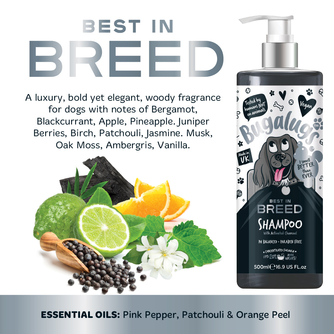 Bugalugs Best in Breed Dog Shampoo 250ml