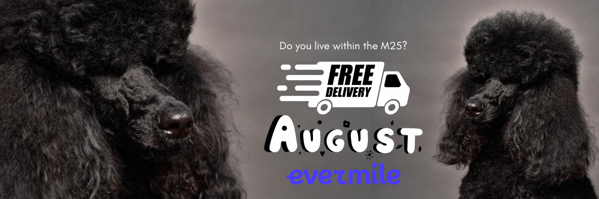 Dog food next clearance day delivery