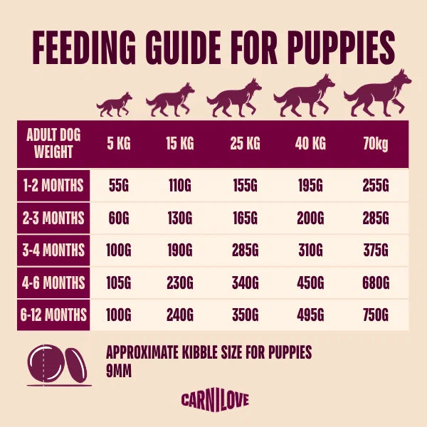 Carnilove Active Salmon & Turkey Puppy Food