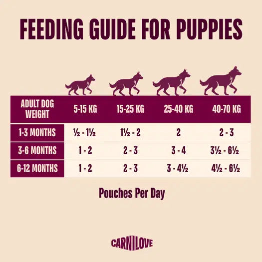 NEW Dog Pouch Paté Turkey & Salmon with Blueberries for Puppies