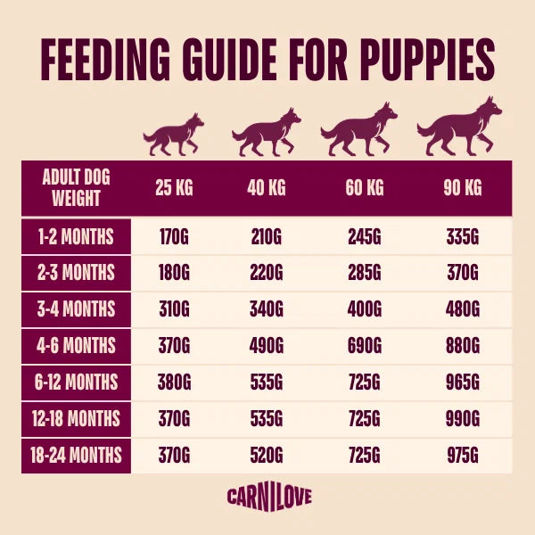 Carnilove Active Salmon & Turkey Dog Food for Junior Large Breeds