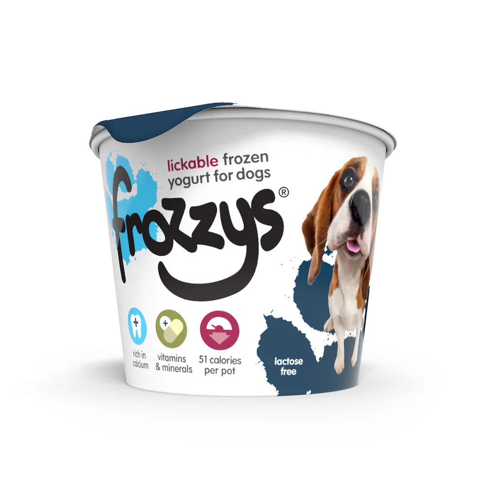 Frozzys Frozen Yoghurt - Blueberry