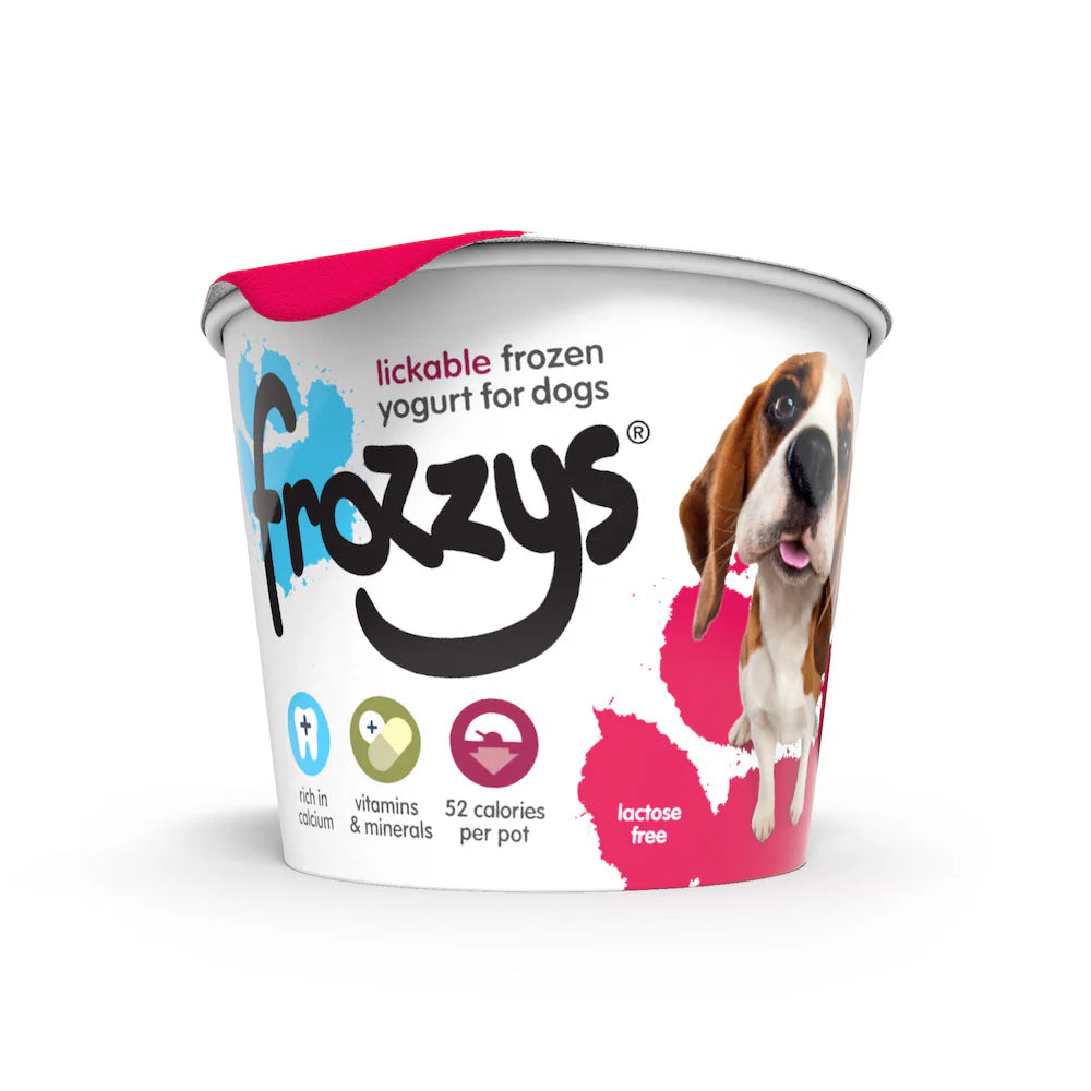 Frozzys Frozen Yoghurt - Cranberry