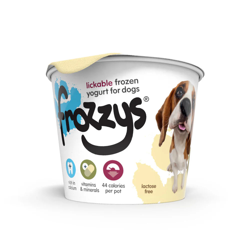 Frozzys Frozen Yoghurt - Original