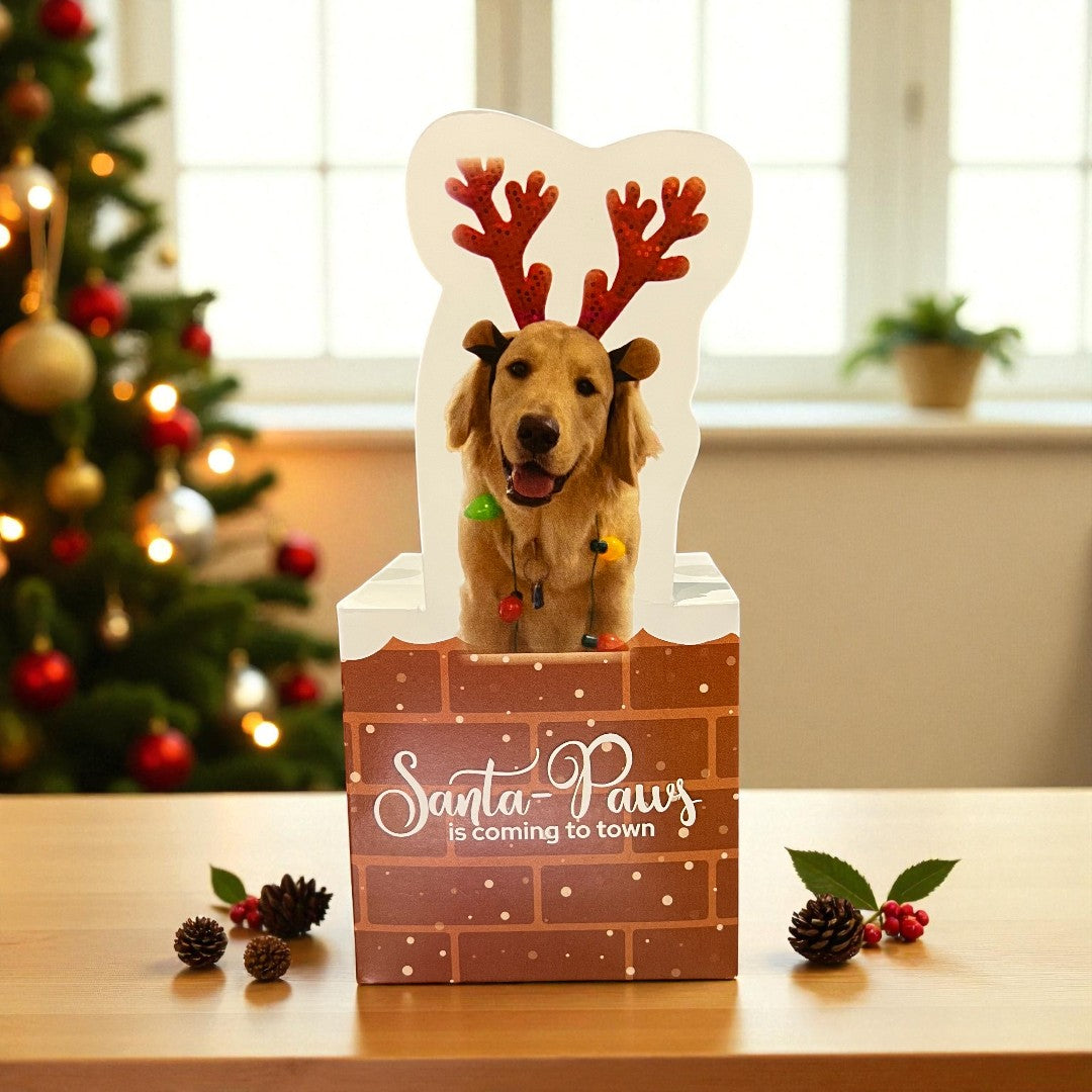 Santa Paws Gift Box