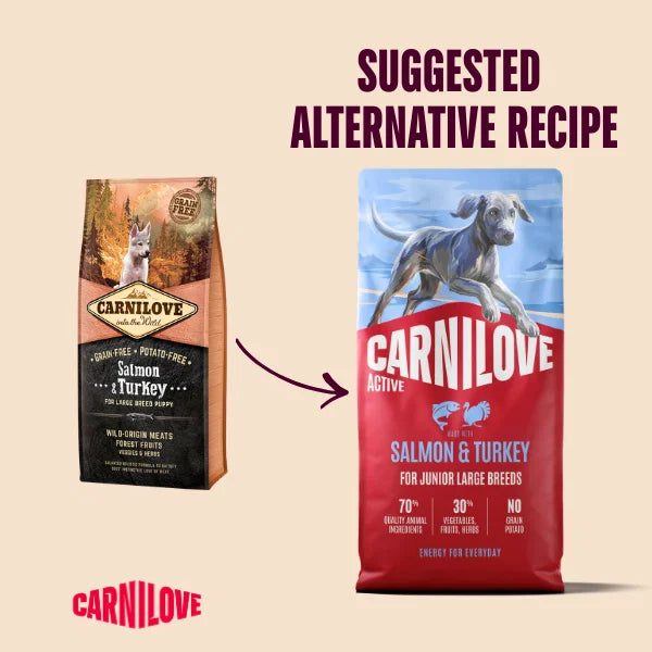 Carnilove Active Salmon & Turkey Dog Food for Junior Large Breeds