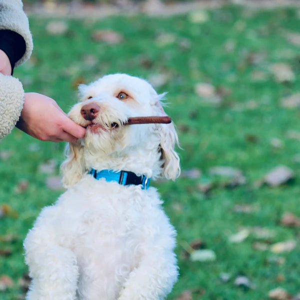 Sallywags Pure Rabbit Sticks