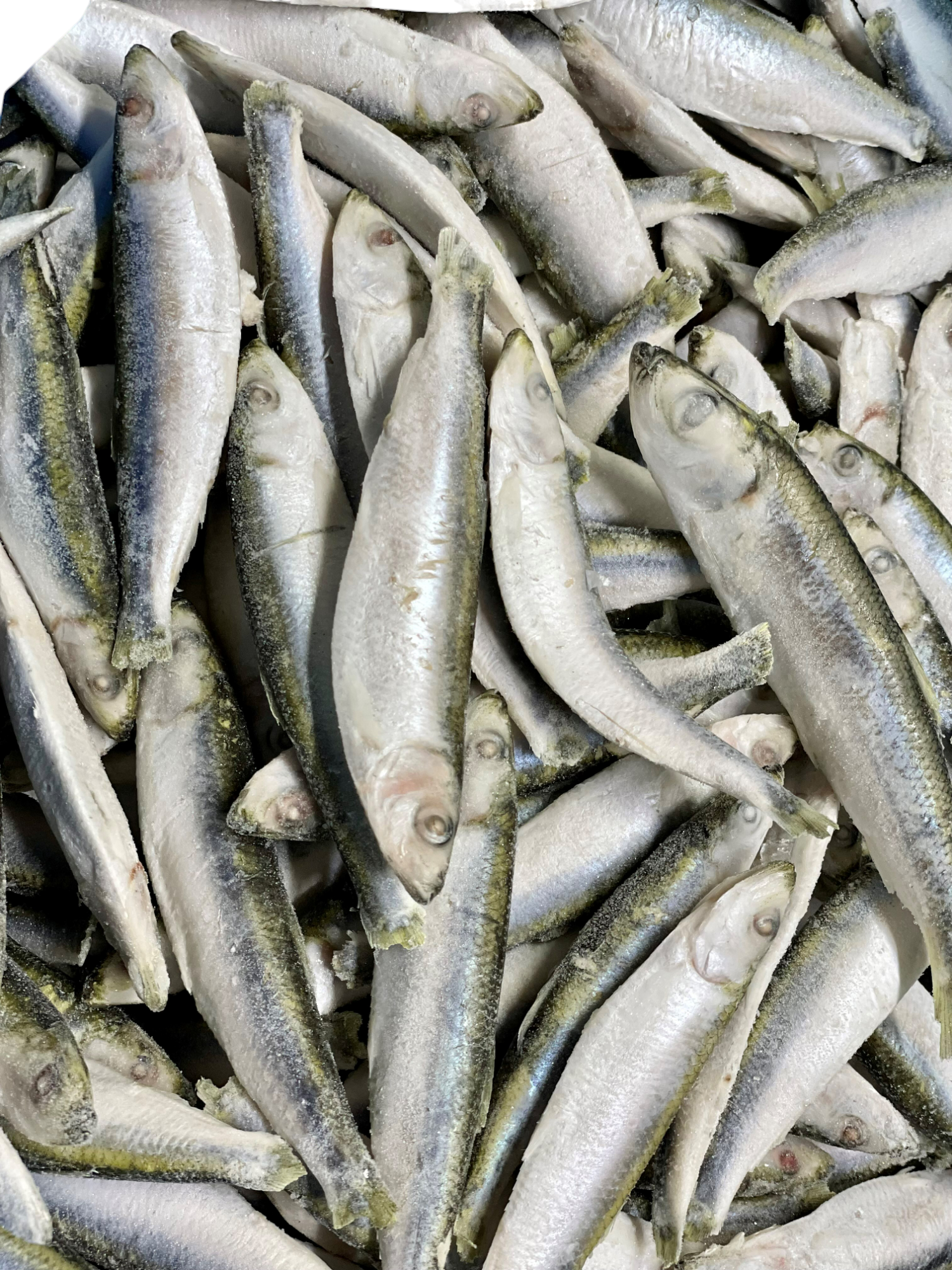Dougie's 1kg Sprats