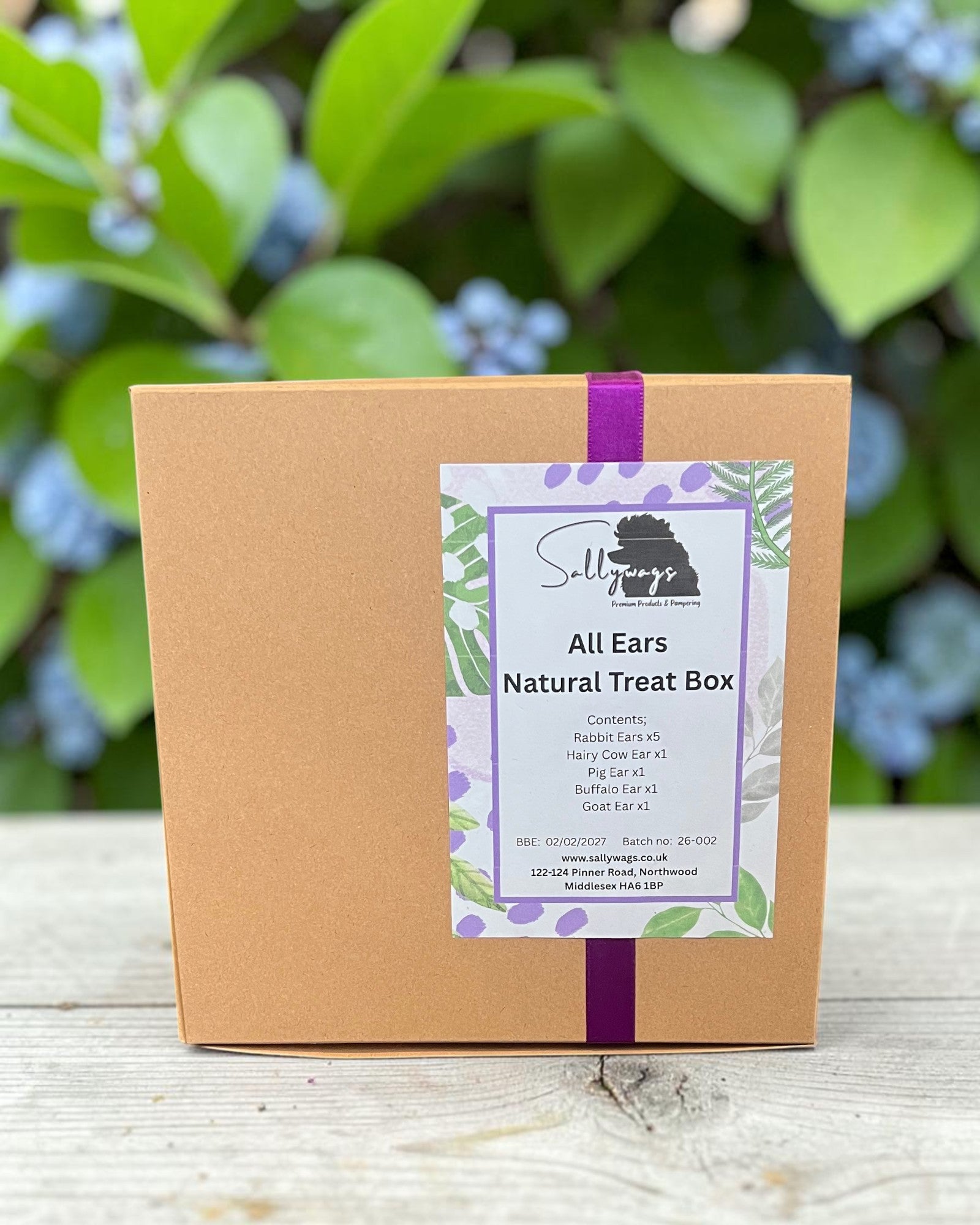 All Ears Natural Treat Box
