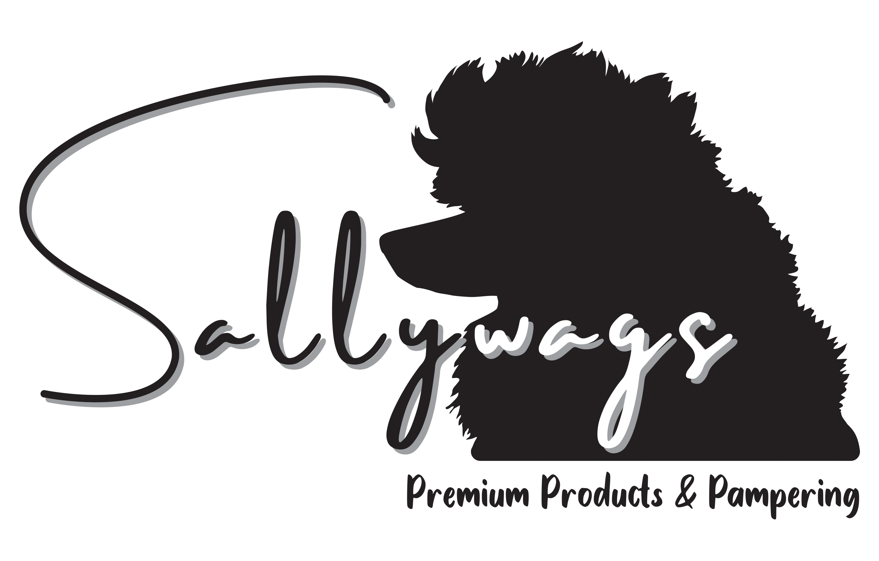Sallywags Ltd