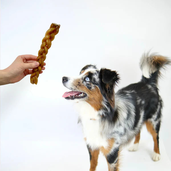 Braided Beef Tendon