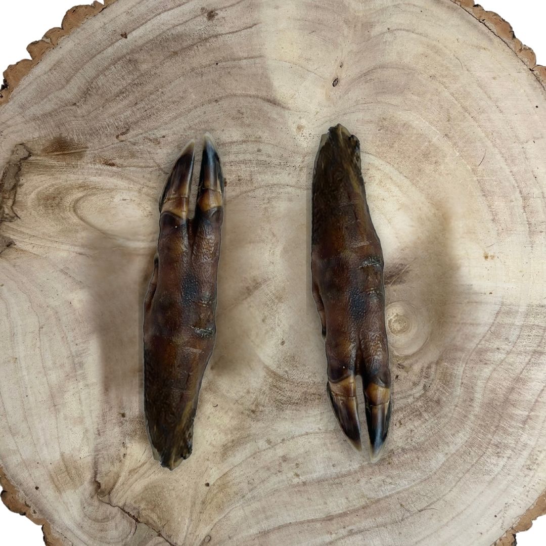 Wild Boar Trotters Pk2