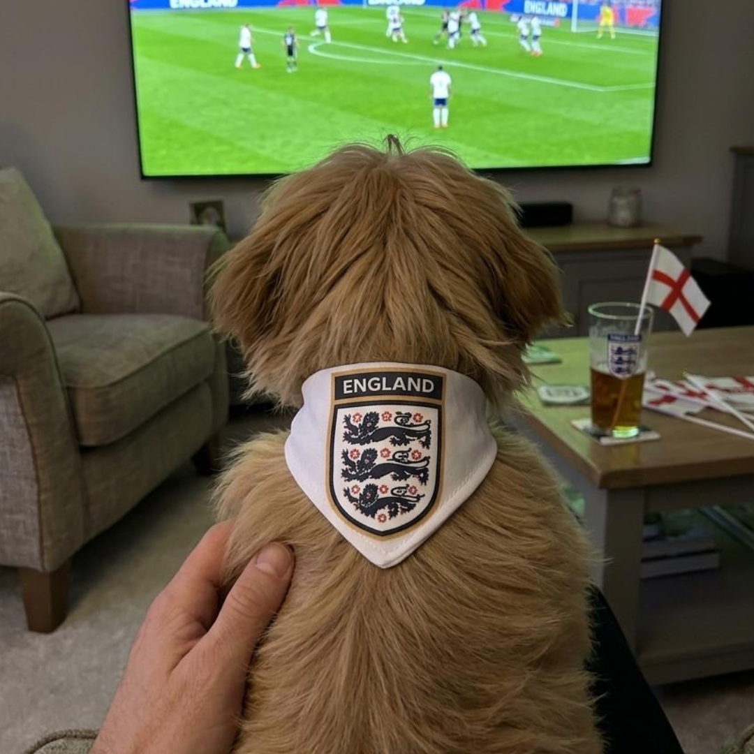 World Cup Bandana