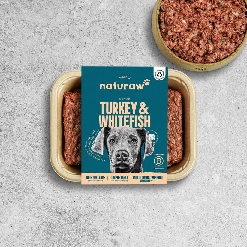Naturaw Turkey & White Fish