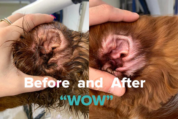 Wow Grooming Dog Ear Wash 250ml