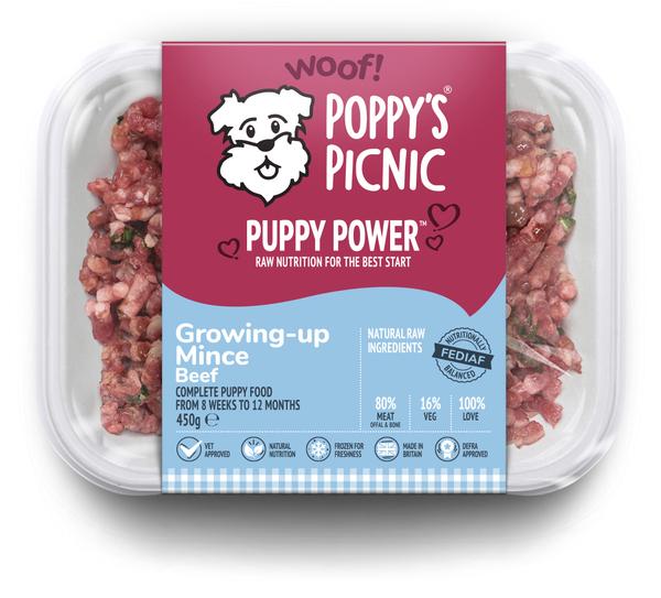 Puppy Power Growing Up Beef Mince