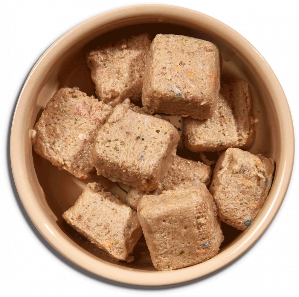 Country Hunter Puppy Nuggets Turkey Fish Sallywags Ltd