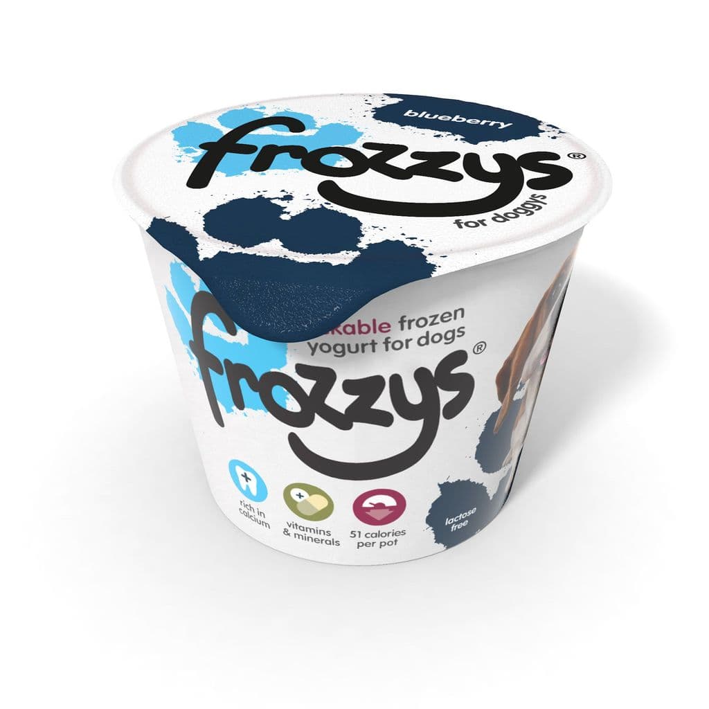 Frozzys Frozen Yoghurt - Blueberry