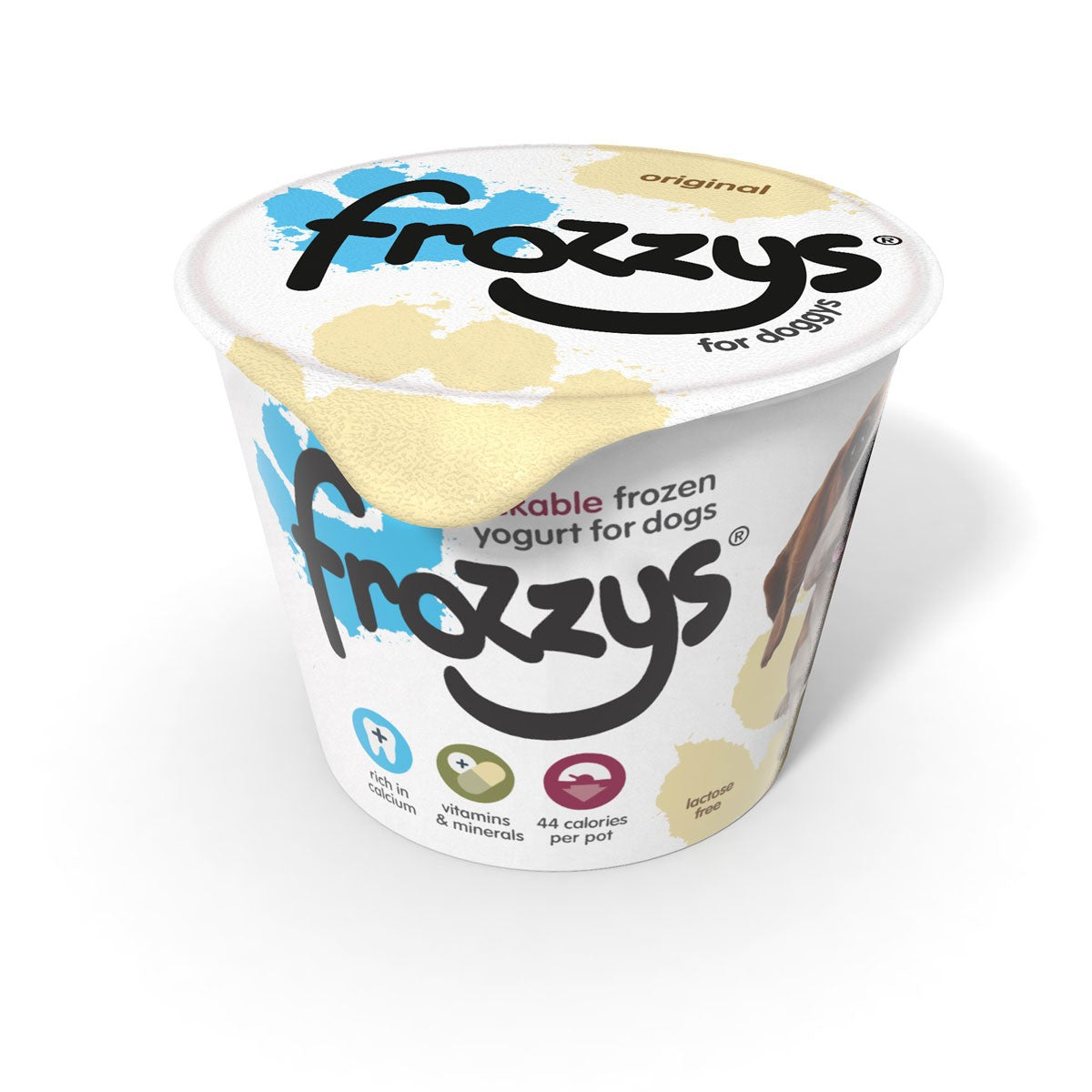 Frozzys Frozen Yoghurt - Original